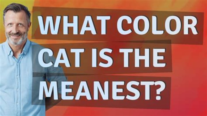 What color cat is the meanest?