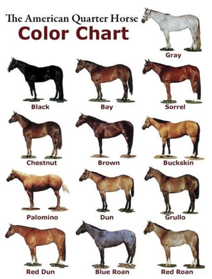What color is a quarter?