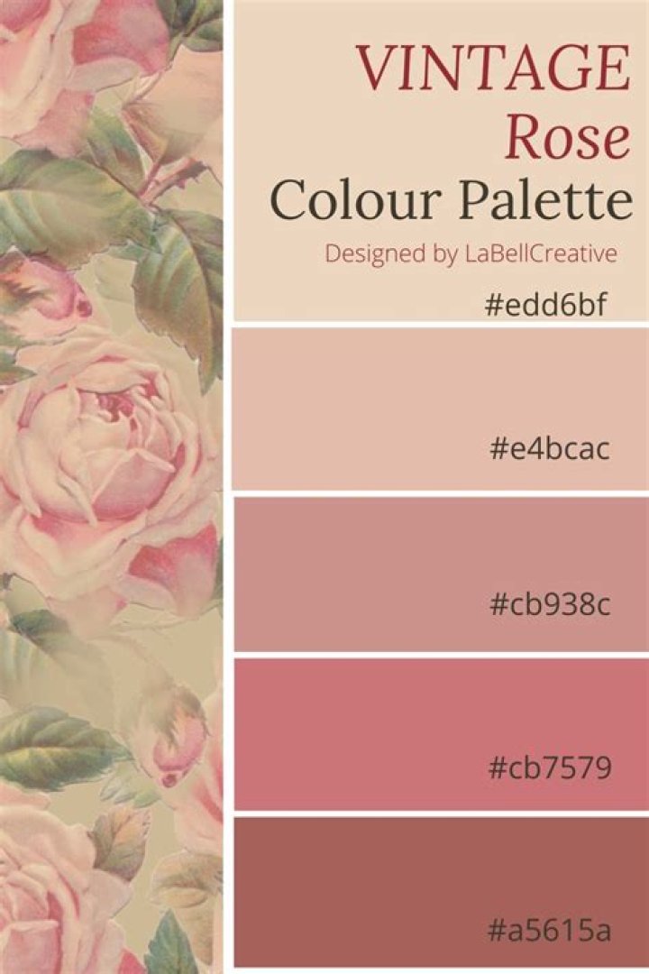 What Color Is Vintage Rose?
