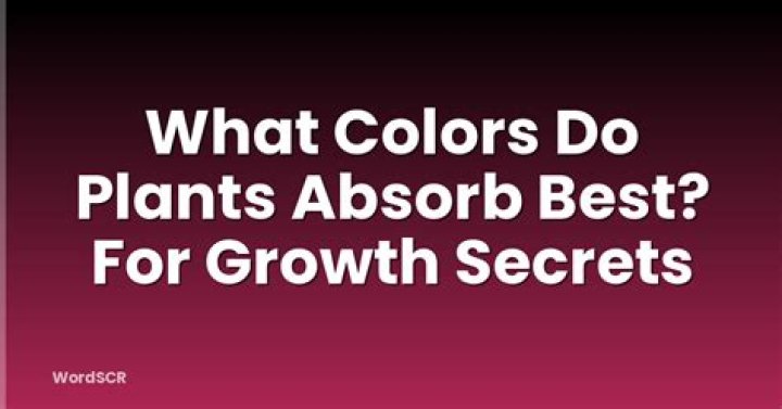 What colors do plants absorb the most?