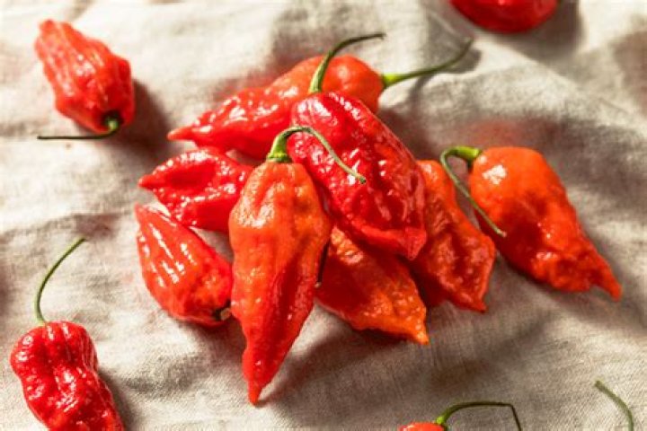 What Colour are Naga chillies?
