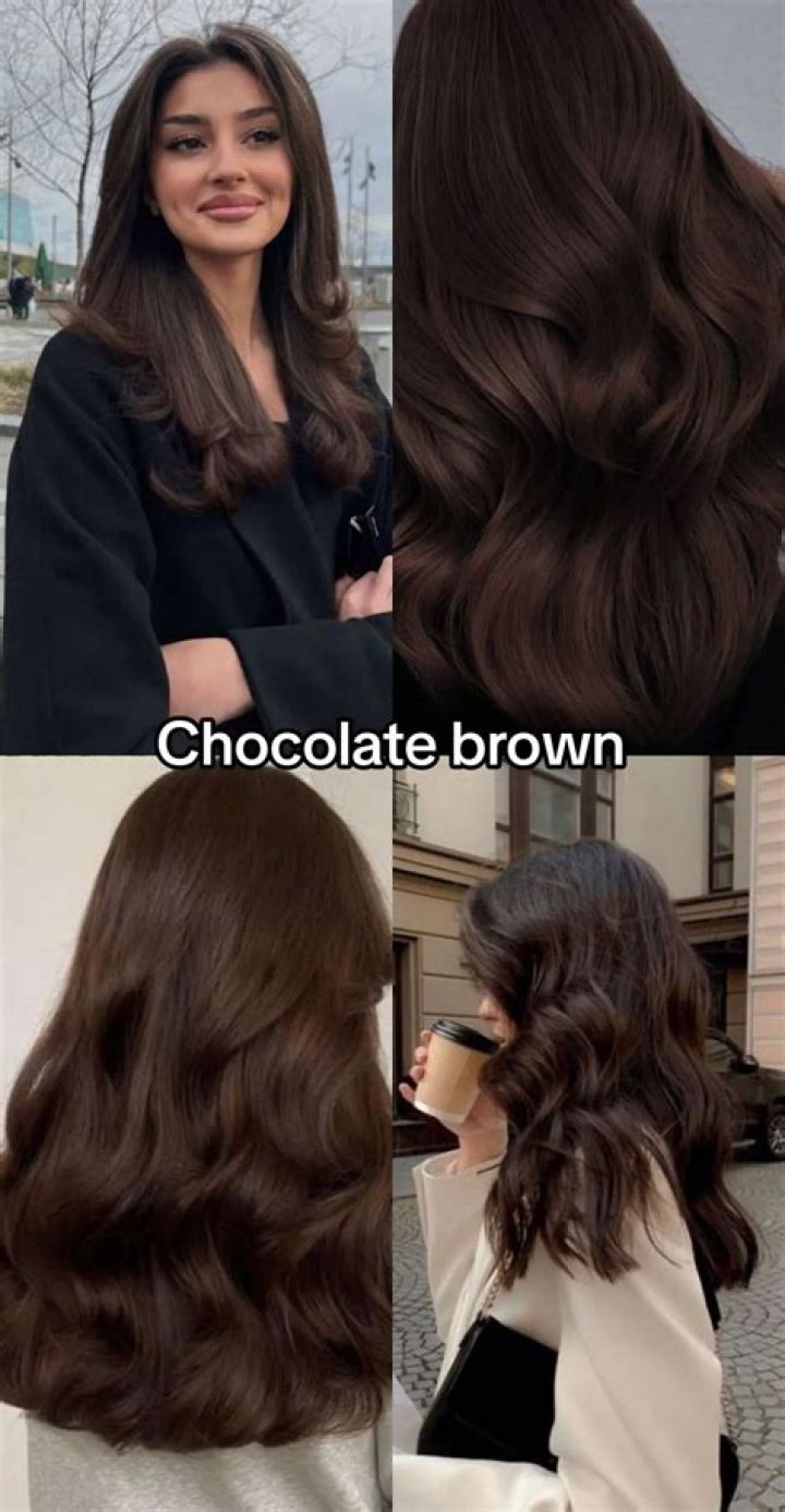 What Colour is chocolate brown?