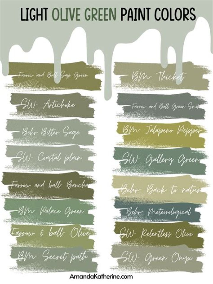 What Colour is light olive?