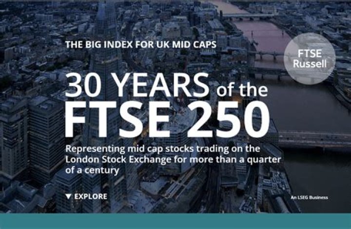 What companies make up the FTSE 250?