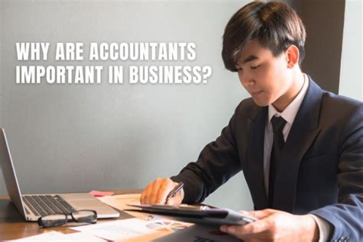 What companies need accountants?