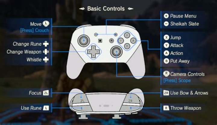 What controllers work with breath of the wild Wii U?