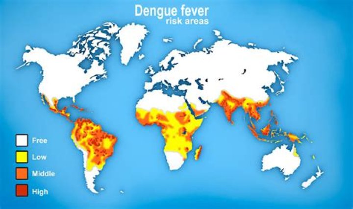 What countries are affected by dengue?