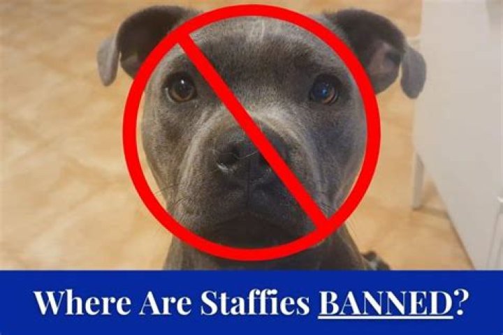 What countries are Staffordshire bull terriers banned?