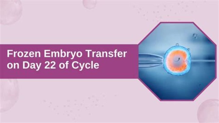 What day do they transfer frozen embryos?