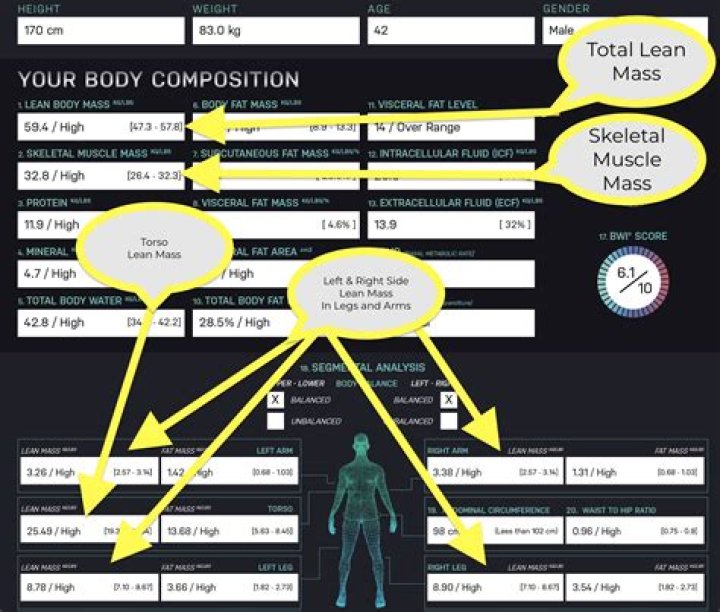 What defines skeletal mass?