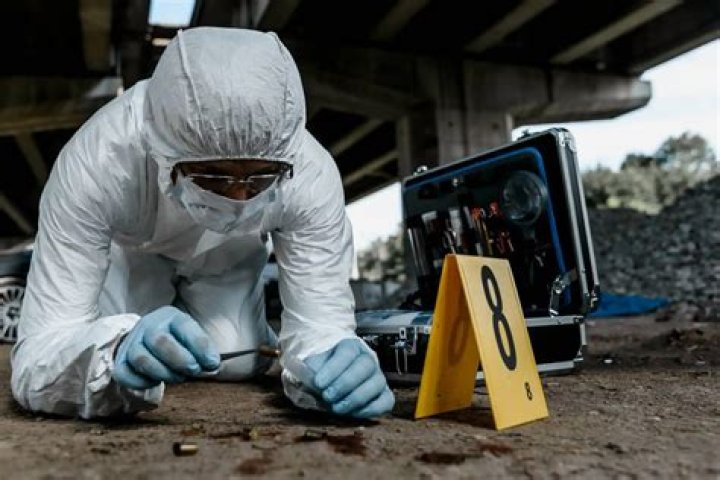 What degree do you need to work in a forensics lab?