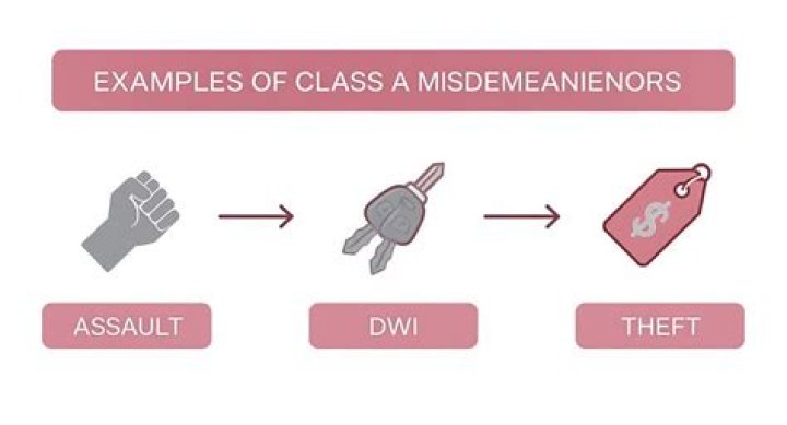 What degree misdemeanor is petty theft?