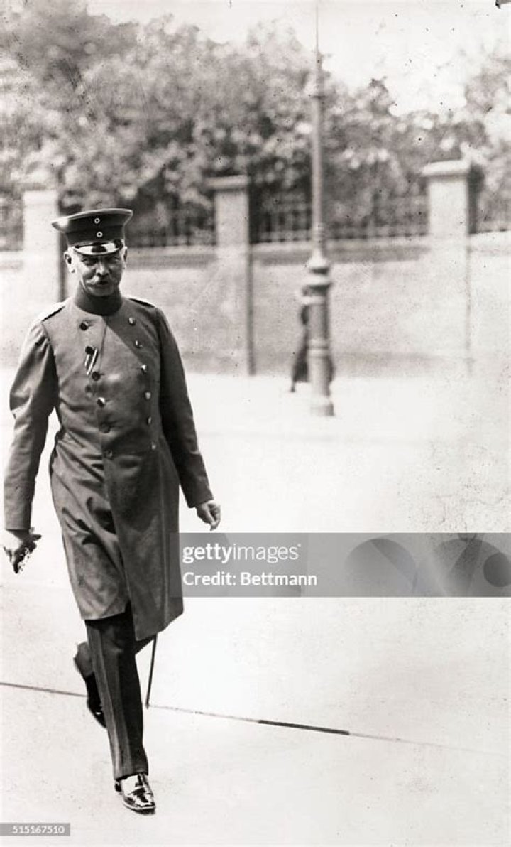 What did Erich von Falkenhayn do?