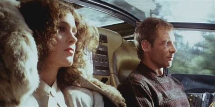 What did the Origami mean at the end of Blade Runner?