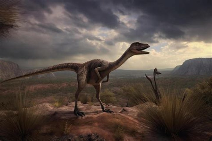 What dinosaurs can live with velociraptors?