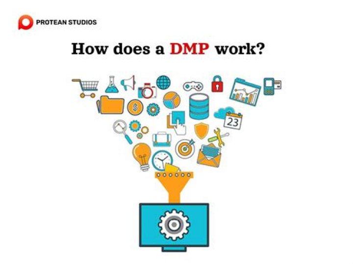 What DMP means?