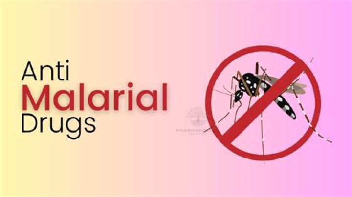 What do antimalarial drugs do?