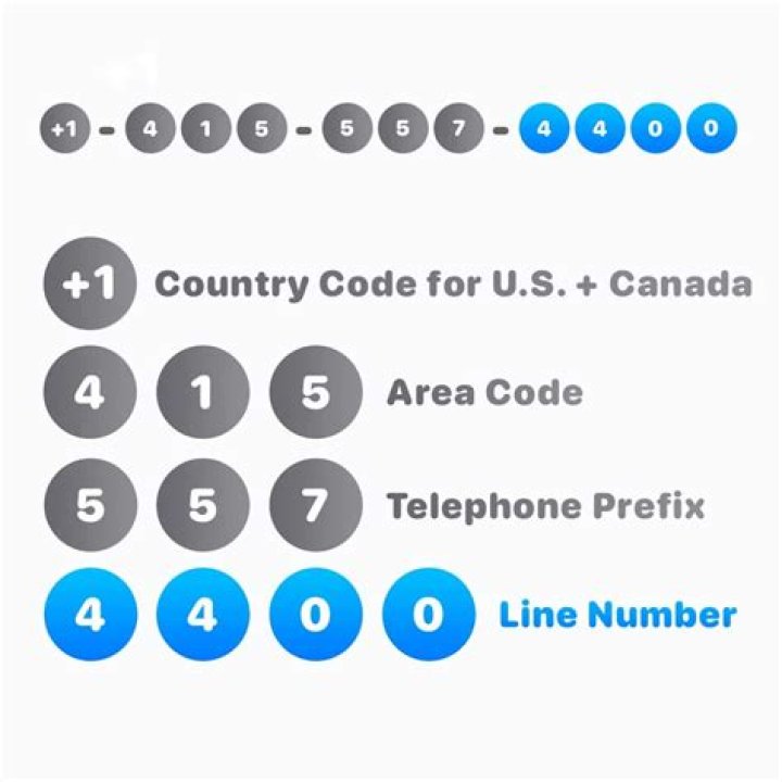 What do contact numbers mean?