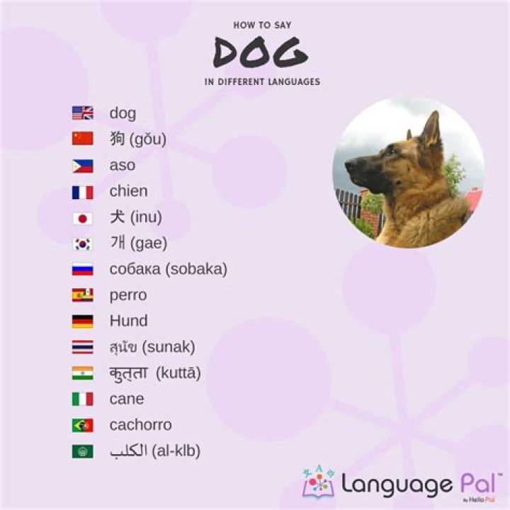 What do dogs say in Swedish?
