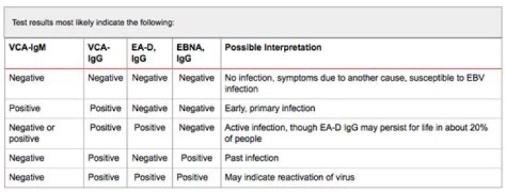 What do EBV test results mean?