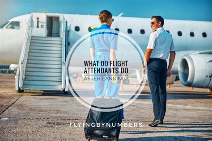 What do flight attendants bring?