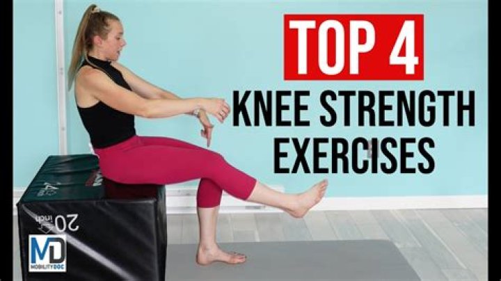 What do knee raises workout?