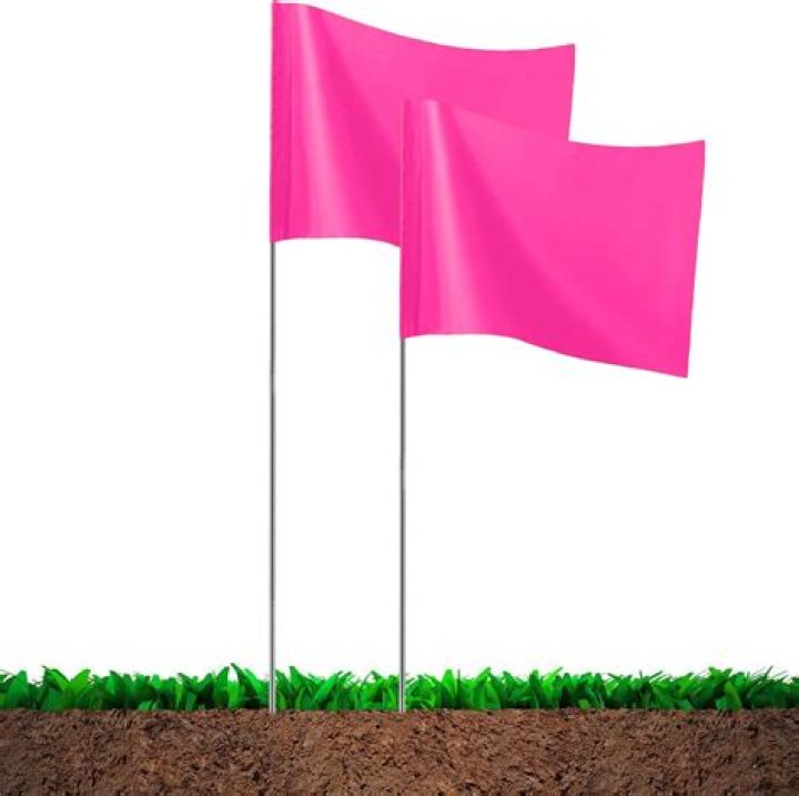 What do pink marker flags mean?
