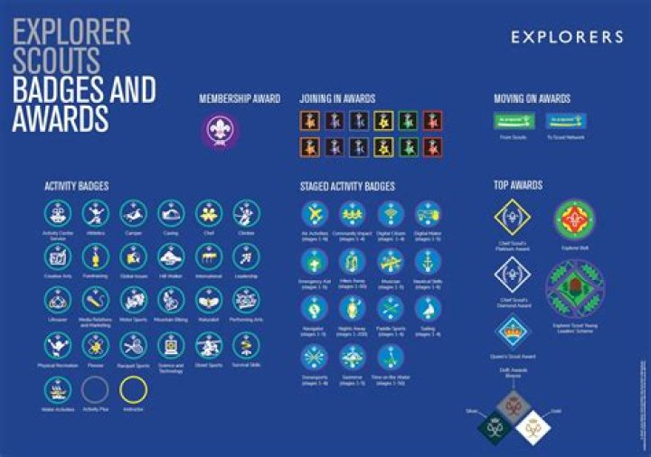 What do Scout Explorers do?