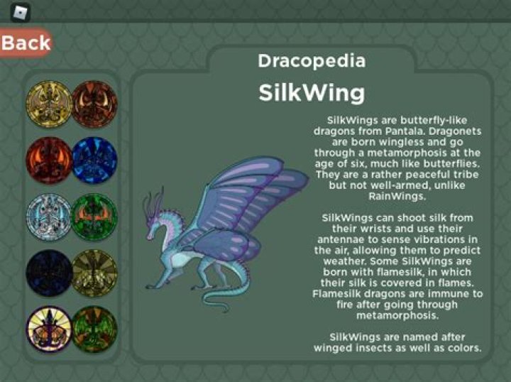 What do SilkWings look like?