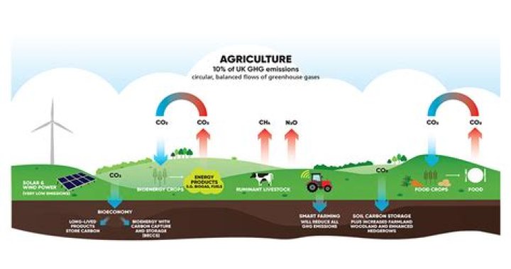 What do the NFU do?