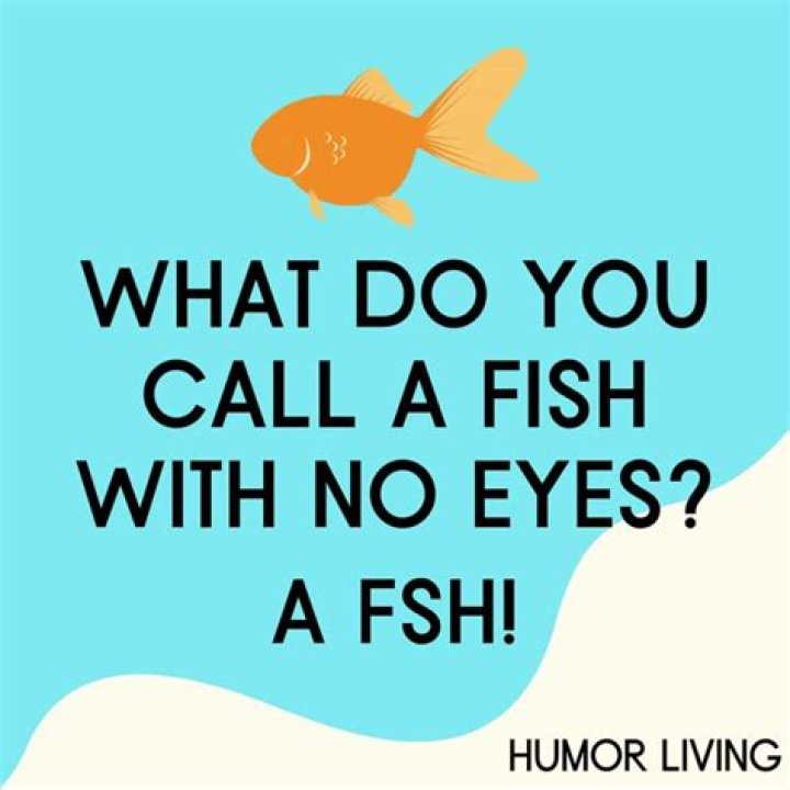 What do you call a calm sea?
