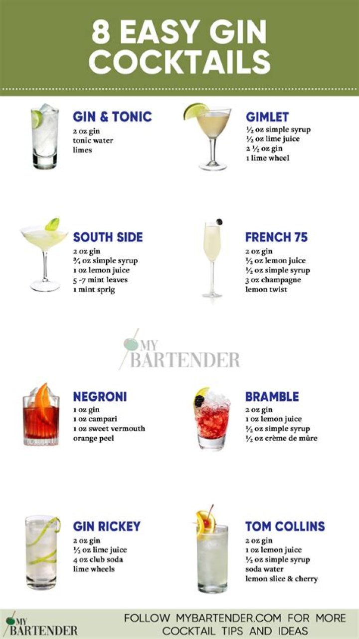 What do you drink Plymouth gin with?