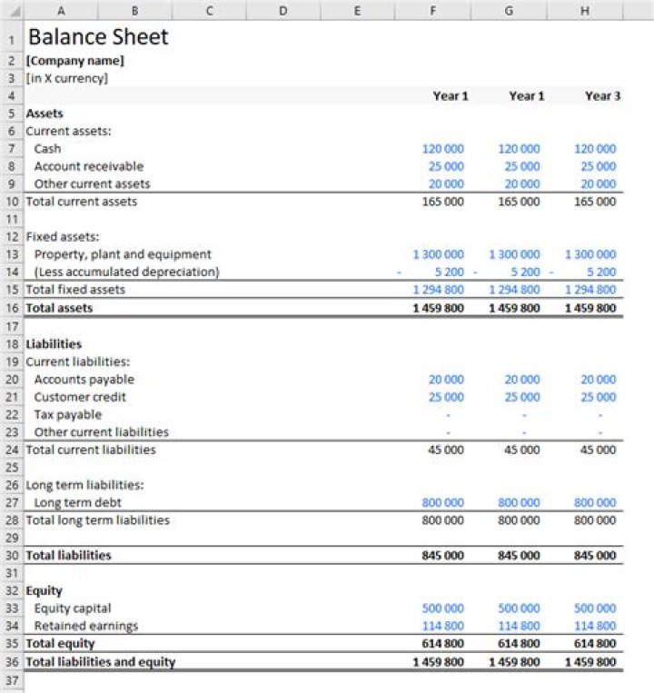What do you look for in a company's balance sheet?