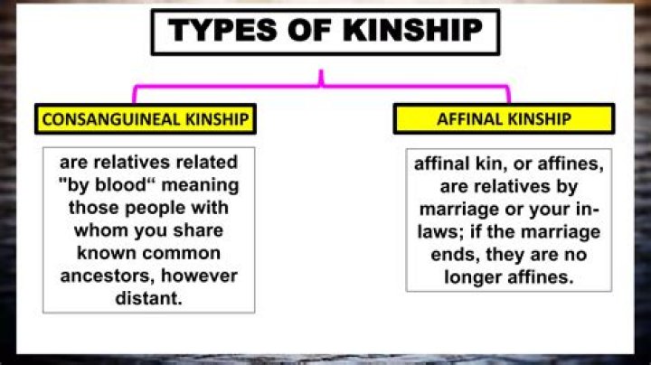 What do you mean by Consanguineal kins?