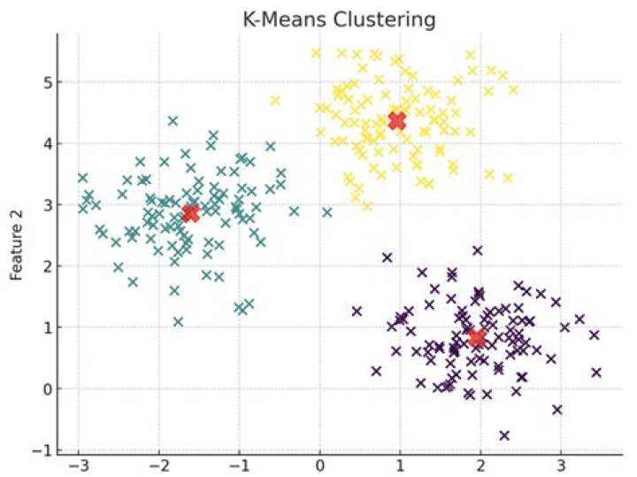 What do you mean by library classification?