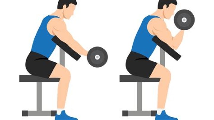What do Zottman curls do?