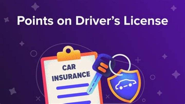What does 0 points on your license mean?