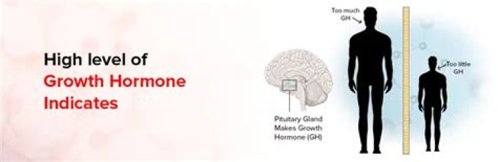 What does a high growth hormone level mean?