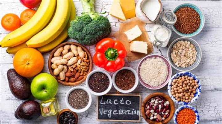 What does a lacto vegetarian not eat?