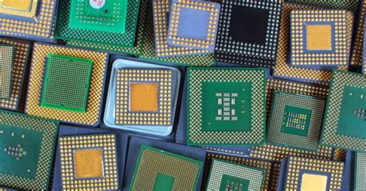 What does a microchip look like?