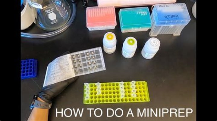 What does a miniprep kit do?