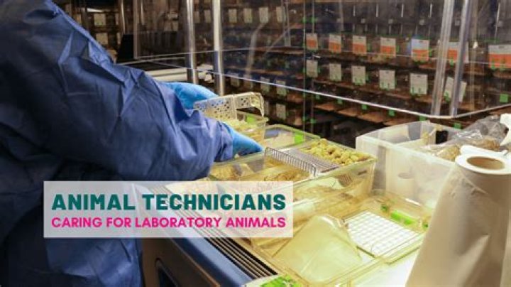 What does an animal health officer do?
