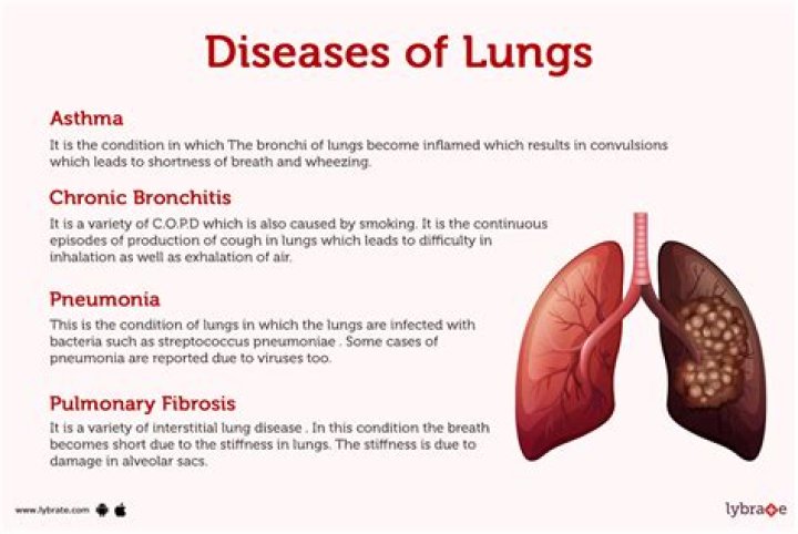 What does Ash do to your lungs?