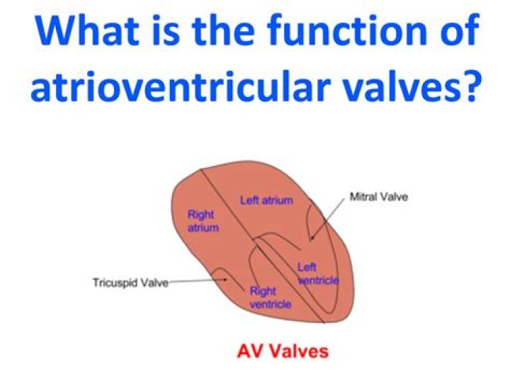 What does AV stand for in text?