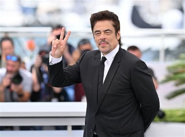 What does Benicio Del Toro mean?