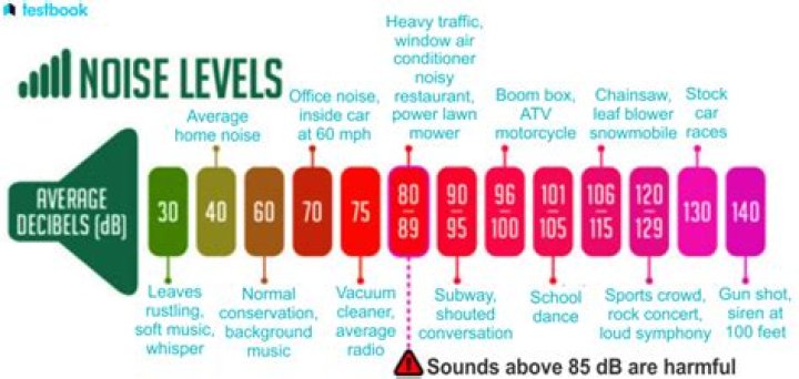 What does Big Noise do?