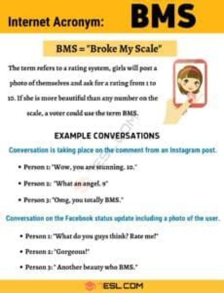 What does Bmes stand for?