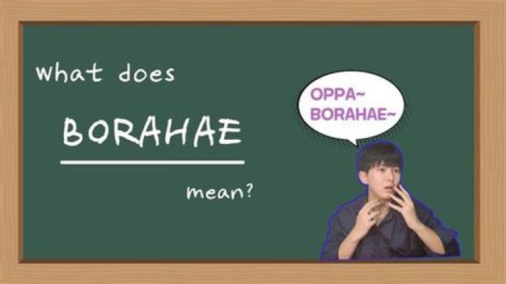 What does Borahae mean in English?
