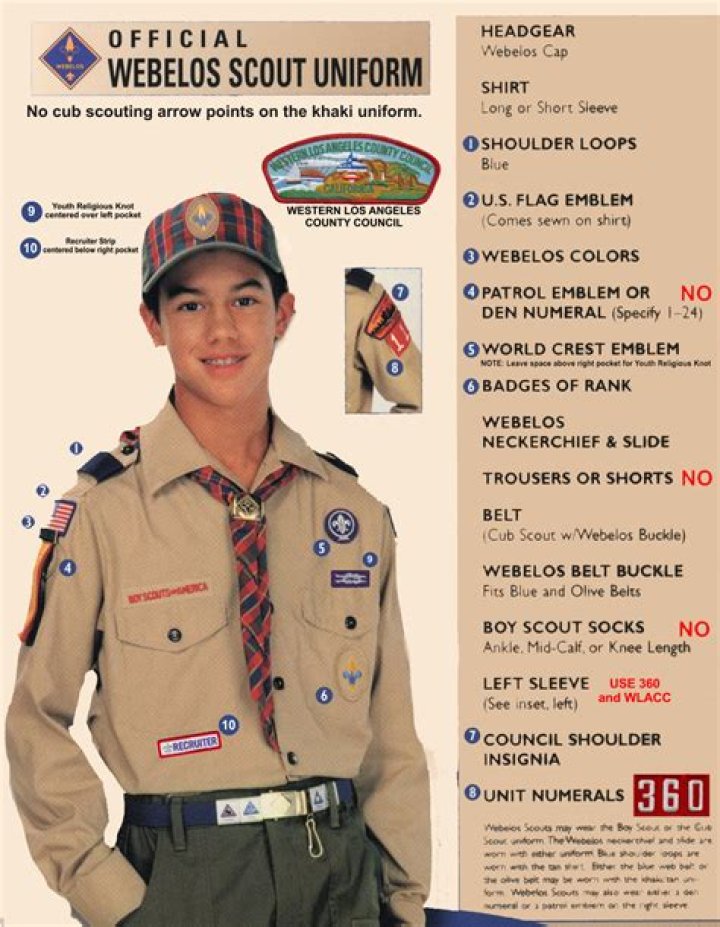 What does BSA mean Boy Scouts?