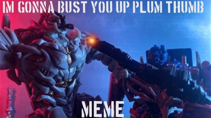 What does bust you up mean?